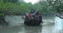 সরকারি নিষেধাজ্ঞা উপেক্ষা করে সুন্দরবনে মাছ শিকার চলছেই